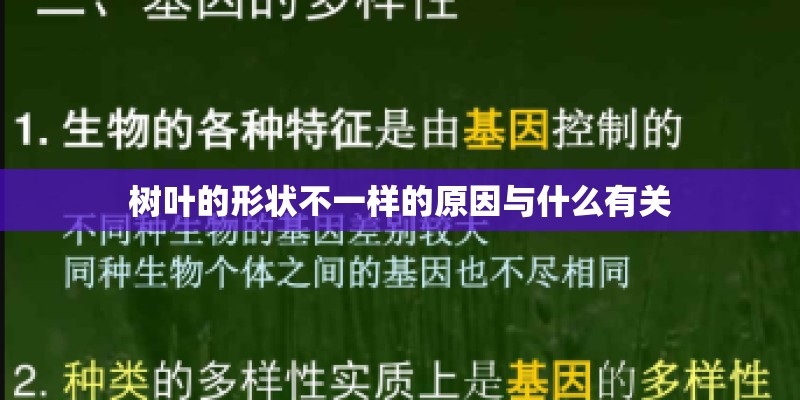 树叶的形状不一样的原因与什么有关