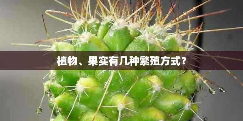 植物、果实有几种繁殖方式？