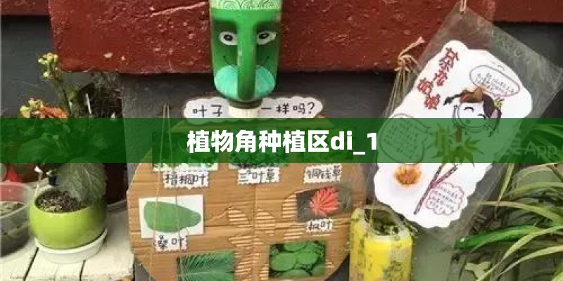 植物角种植区di_1