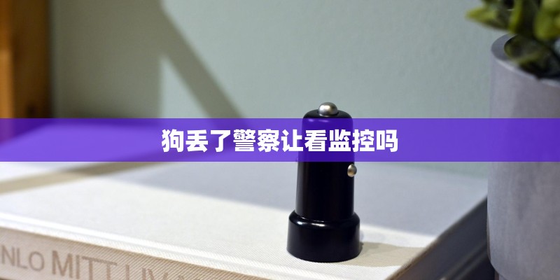 狗丢了警察让看监控吗