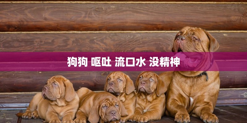 狗狗 呕吐 流口水 没精神