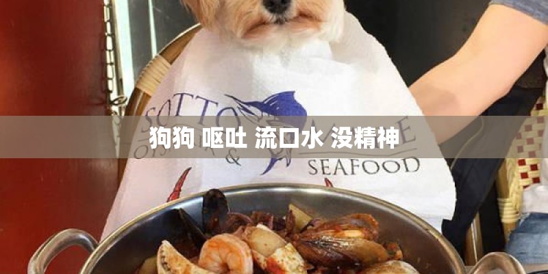 狗狗 呕吐 流口水 没精神
