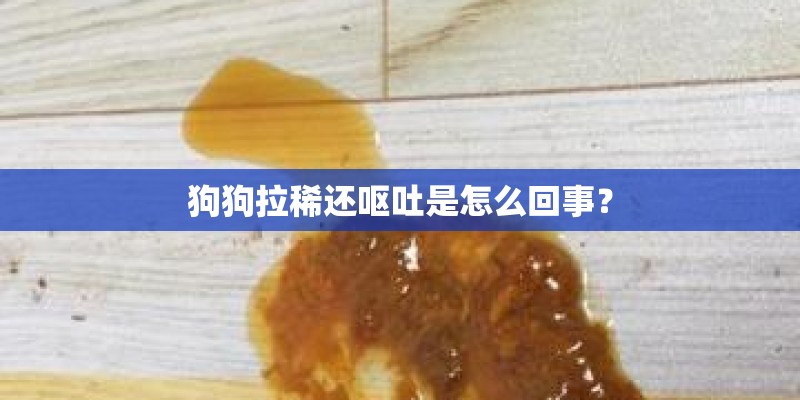 狗狗拉稀还呕吐是怎么回事？