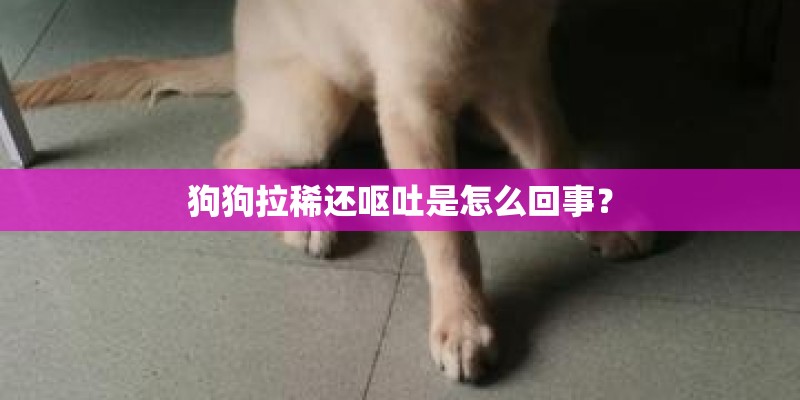 狗狗拉稀还呕吐是怎么回事？
