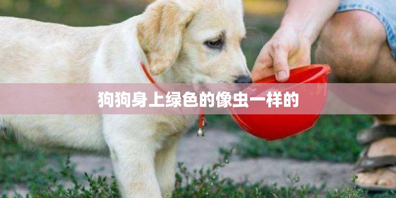 狗狗身上绿色的像虫一样的