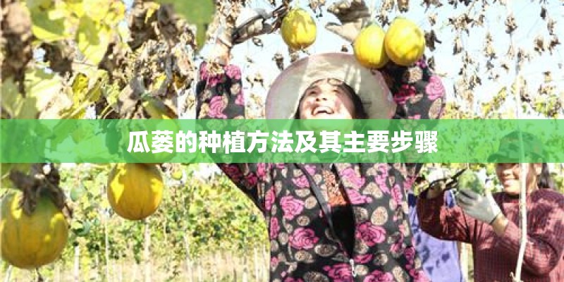 瓜蒌的种植方法及其主要步骤