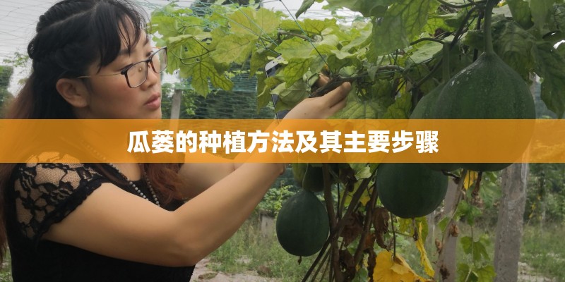 瓜蒌的种植方法及其主要步骤 瓜蒌的种植方法及其主要步骤