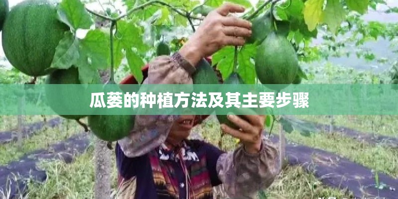 瓜蒌的种植方法及其主要步骤 瓜蒌的种植方法及其主要步骤
