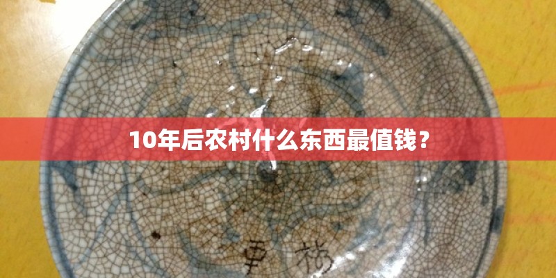 10年后农村什么东西最值钱？