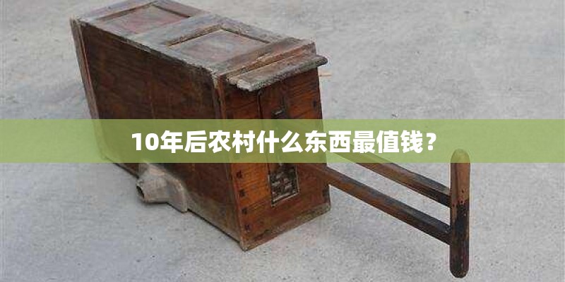 10年后农村什么东西最值钱？