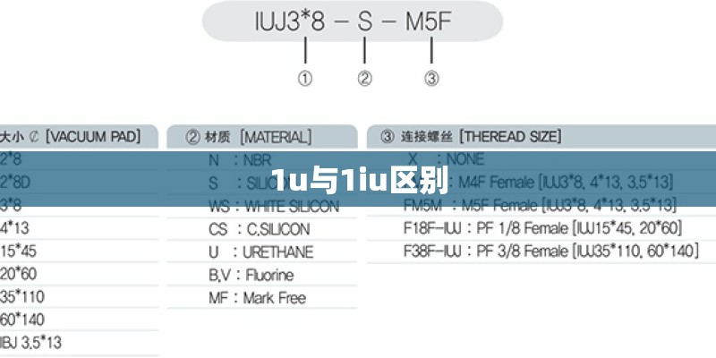1u与1iu区别