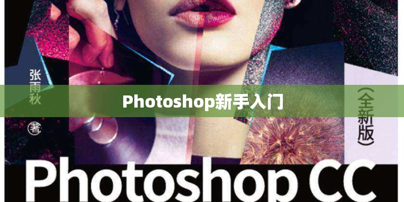 Photoshop新手入门