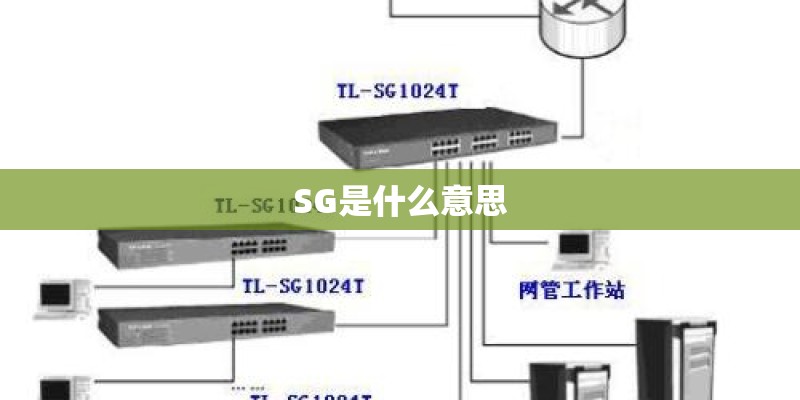 SG是什么意思