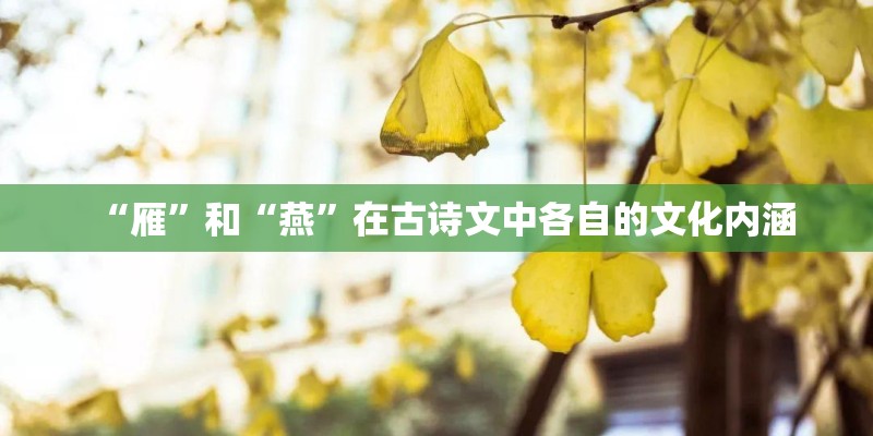 “雁”和“燕”在古诗文中各自的文化内涵