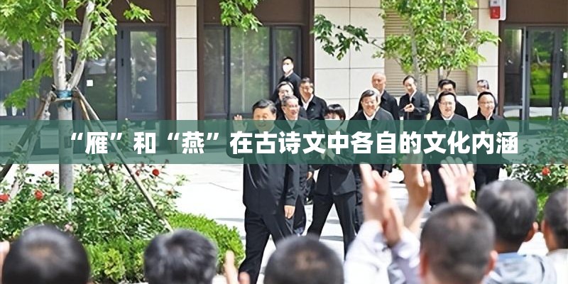 “雁”和“燕”在古诗文中各自的文化内涵
