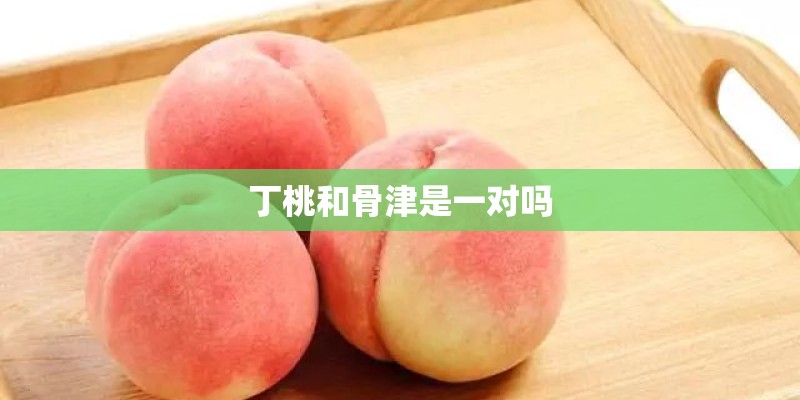 丁桃和骨津是一对吗