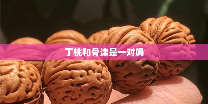 丁桃和骨津是一对吗
