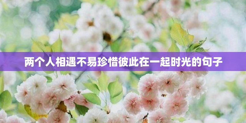 两个人相遇不易珍惜彼此在一起时光的句子 两个人相遇不易珍惜彼此在一起时光的句子