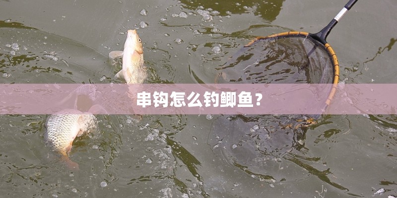 串钩怎么钓鲫鱼？