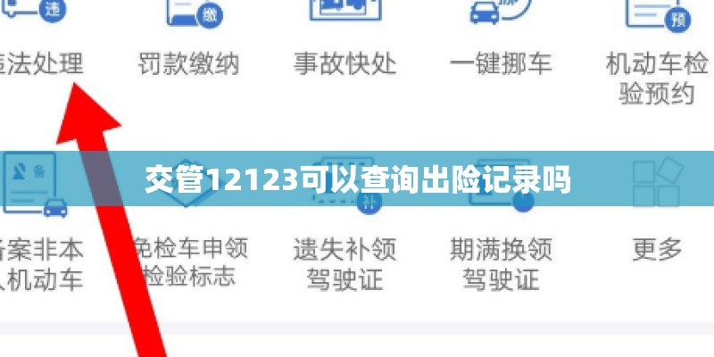 交管12123可以查询出险记录吗