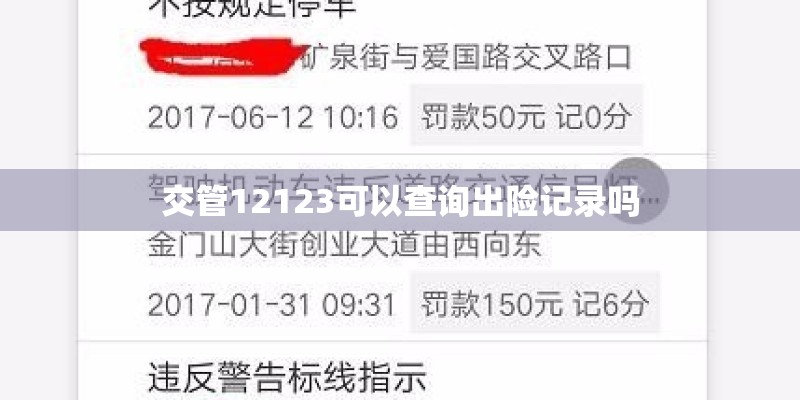 交管12123可以查询出险记录吗