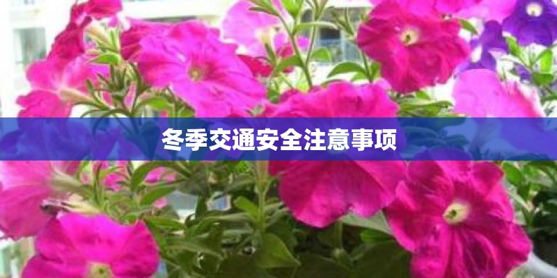 冬季交通安全注意事项
