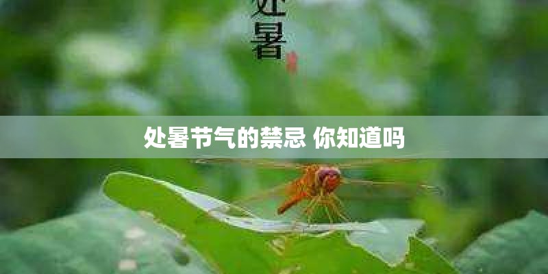 处暑节气的禁忌 你知道吗 处暑节气的禁忌 你知道吗