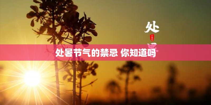 处暑节气的禁忌 你知道吗 处暑节气的禁忌 你知道吗