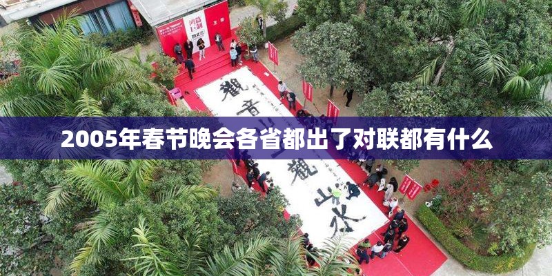 2005年春节晚会各省都出了对联都有什么