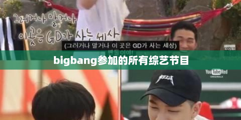 bigbang参加的所有综艺节目