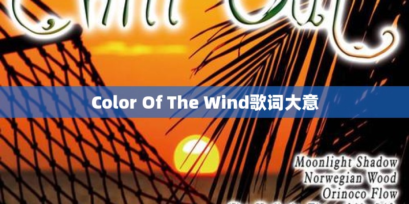 Color Of The Wind歌词大意