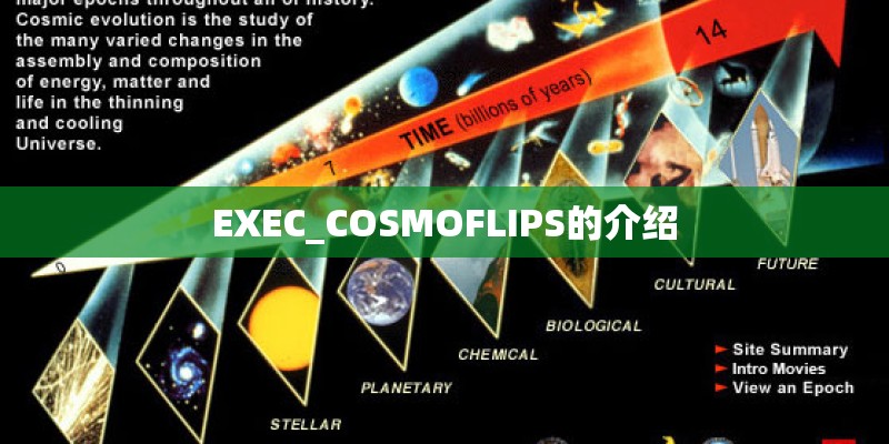 EXEC_COSMOFLIPS的介绍