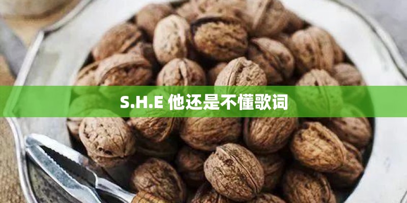 S.H.E 他还是不懂歌词