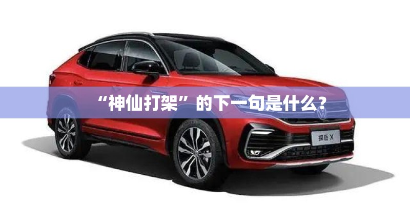 “神仙打架”的下一句是什么？
