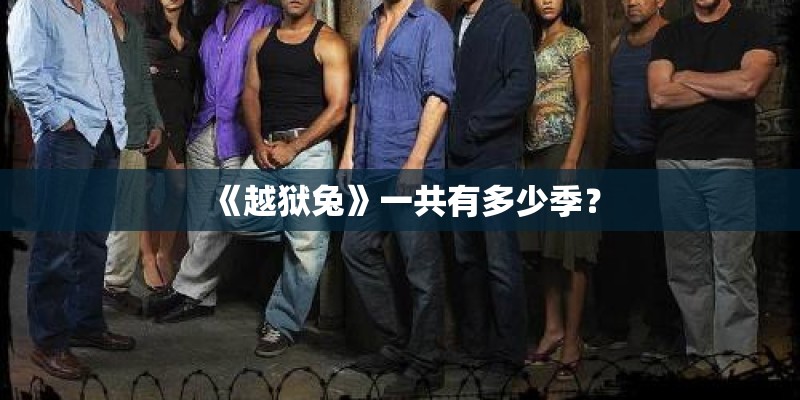 《越狱兔》一共有多少季？