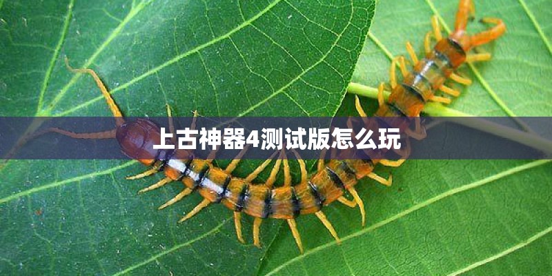 上古神器4测试版怎么玩
