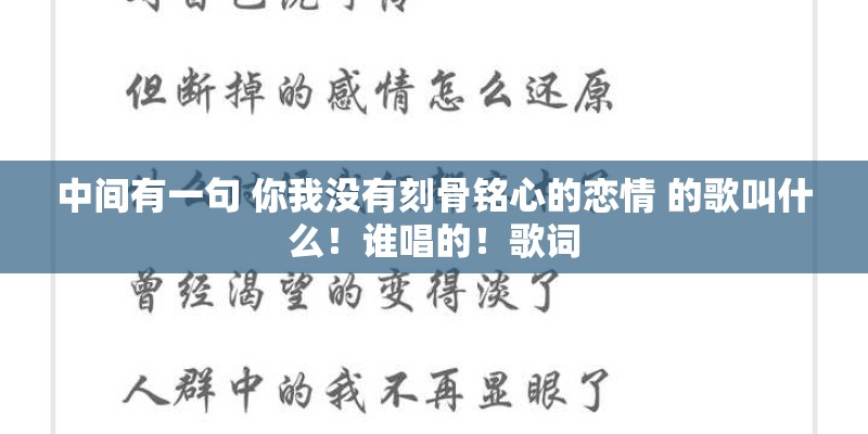 中间有一句 你我没有刻骨铭心的恋情 的歌叫什么！谁唱的！歌词