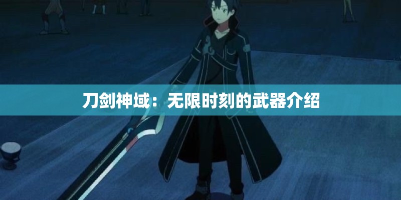 刀剑神域：无限时刻的武器介绍