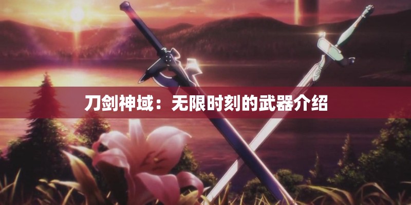 刀剑神域：无限时刻的武器介绍