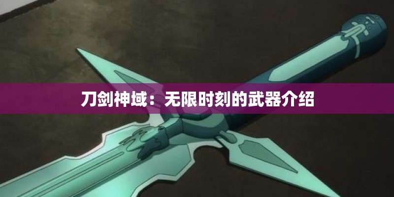 刀剑神域：无限时刻的武器介绍