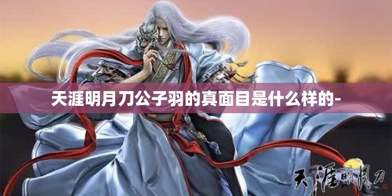 天涯明月刀公子羽的真面目是什么样的-
