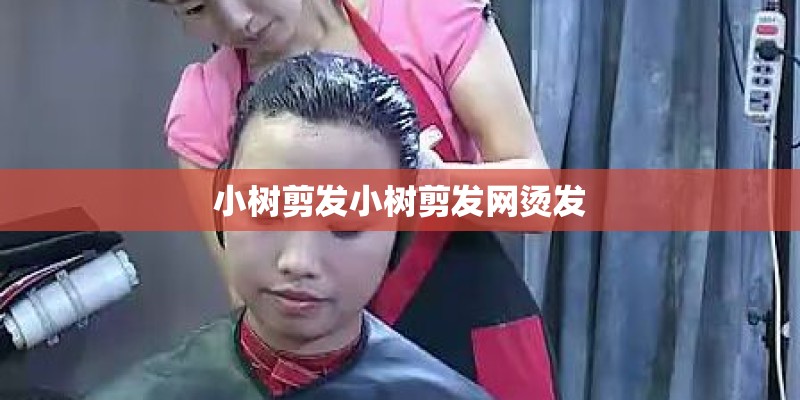 小树剪发小树剪发网烫发