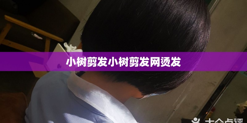 小树剪发小树剪发网烫发