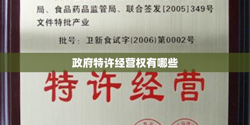 政府特许经营权有哪些