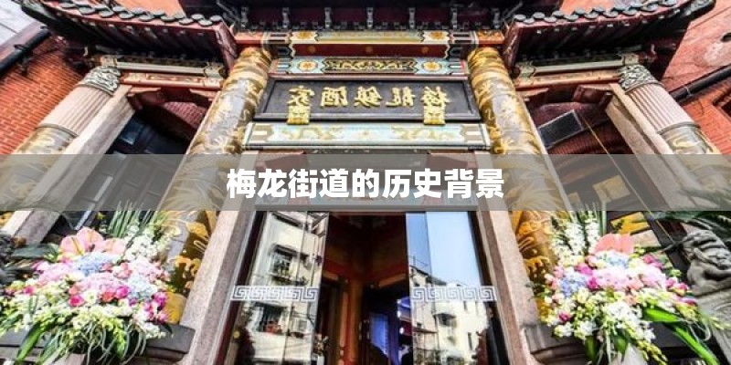 梅龙街道的历史背景