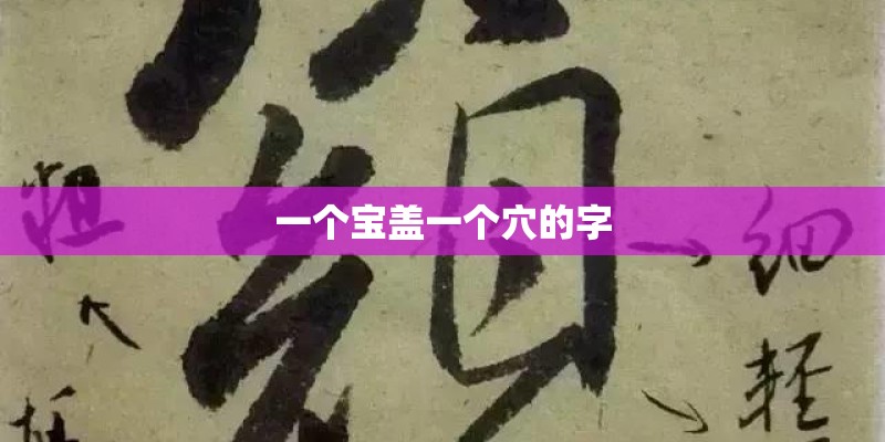 一个宝盖一个穴的字