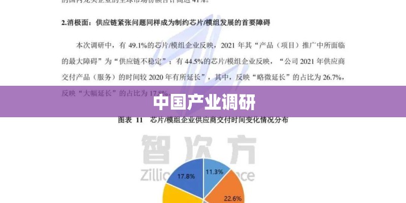 中国产业调研