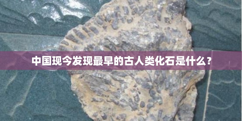 中国现今发现最早的古人类化石是什么？