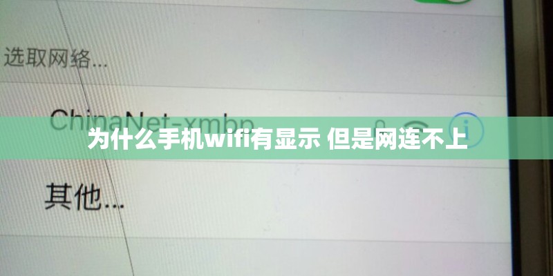 为什么手机wifi有显示 但是网连不上